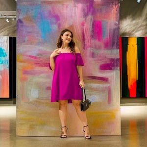 Shein | NWT Fuschia Off The Shoulder Ruffle Top Plus Size Dress